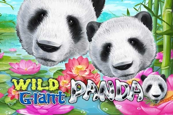 Wild Giant Panda Screenshot