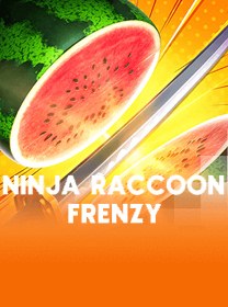 Ninja Raccoon Frenzy