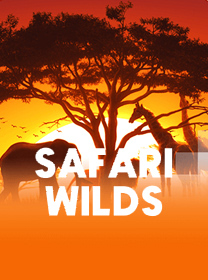 Safari Wilds