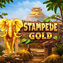 BetSoft Stampede Gold Game at Slotulous