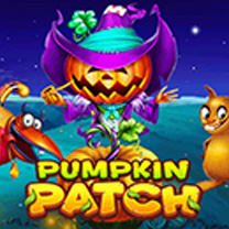Pumpkin Patch