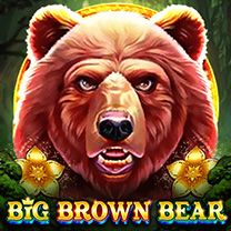 Big Brown Bear