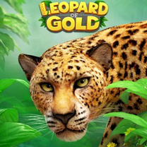 Leopard Of Gold